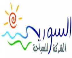 برأسمال 3 ملايين دولار.. تأسيس شركة طيران باسم فلاي سيريا
