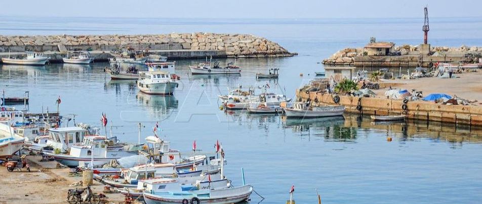 أكثر من ثلاثة مليارات ليرة سورية إيرادات المديرية العامة للموانئ حتى تاريخ 30/11/2021
